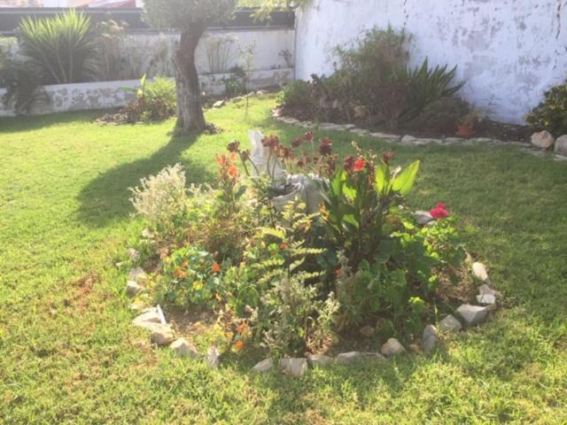 Casa Mimosa Acomodação com café da manhã São Brás de Alportel Exterior foto