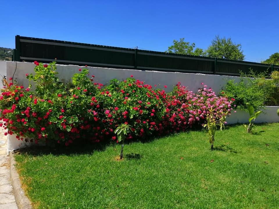 Casa Mimosa Acomodação com café da manhã São Brás de Alportel Exterior foto